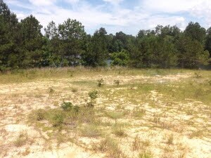 Highway 42 E, Petal, MS for sale - Primary Photo - Image 1 of 1
