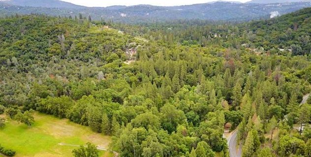 21320 Phoenix Lake Rd, Sonora, CA for sale - Primary Photo - Image 1 of 1