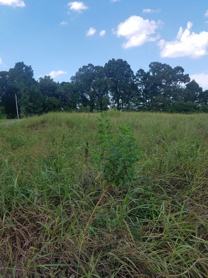 1631 Owens Store Rd, Canton, GA 30115