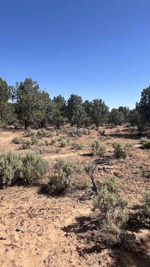 CR-1894, Kanosh, UT 84637 | LoopNet