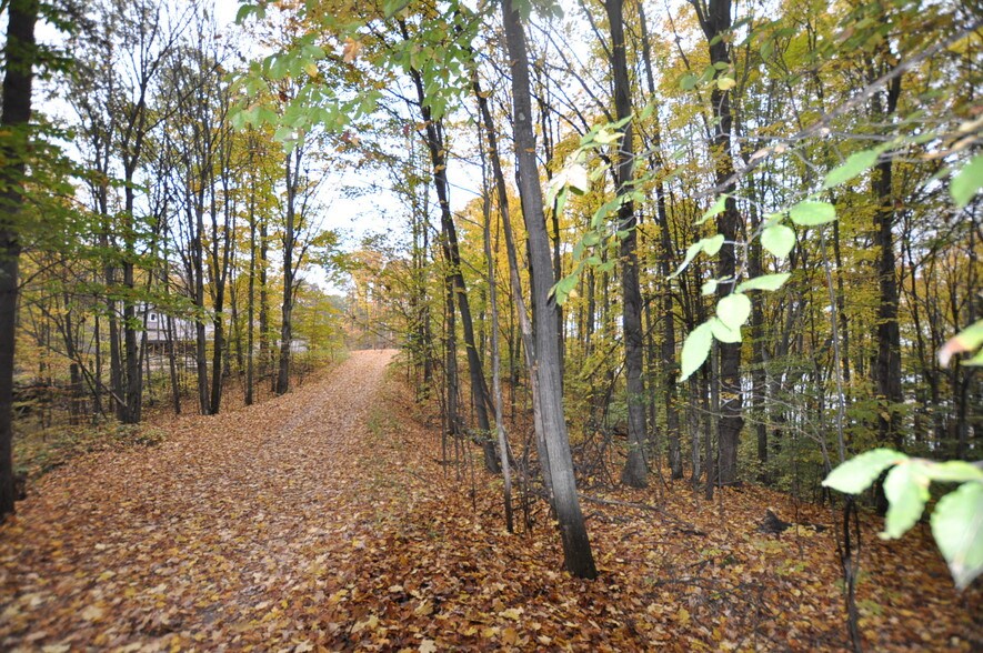 Lake Of The Woods Trl, Bellaire, MI for sale - Other - Image 1 of 1