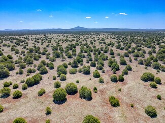 More details for TBD Penrod Road, Show Low, AZ - Land for Sale