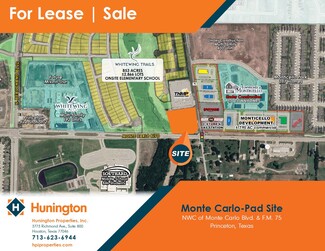 More details for NWC Of Monte Carlo Boulevard & FM 75, Princeton, TX - Land for Sale