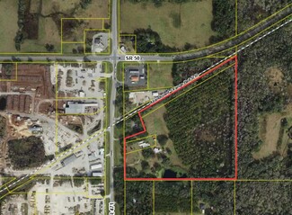 More details for 13929 State Rte 471, Webster, FL - Land for Sale