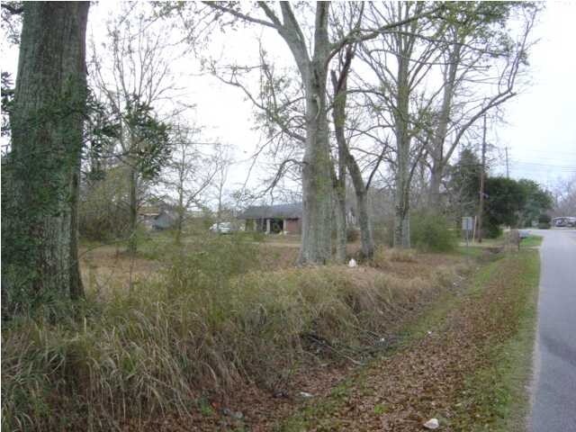 7530 Theodore Dawes Rd, Theodore, AL for sale Primary Photo- Image 1 of 1