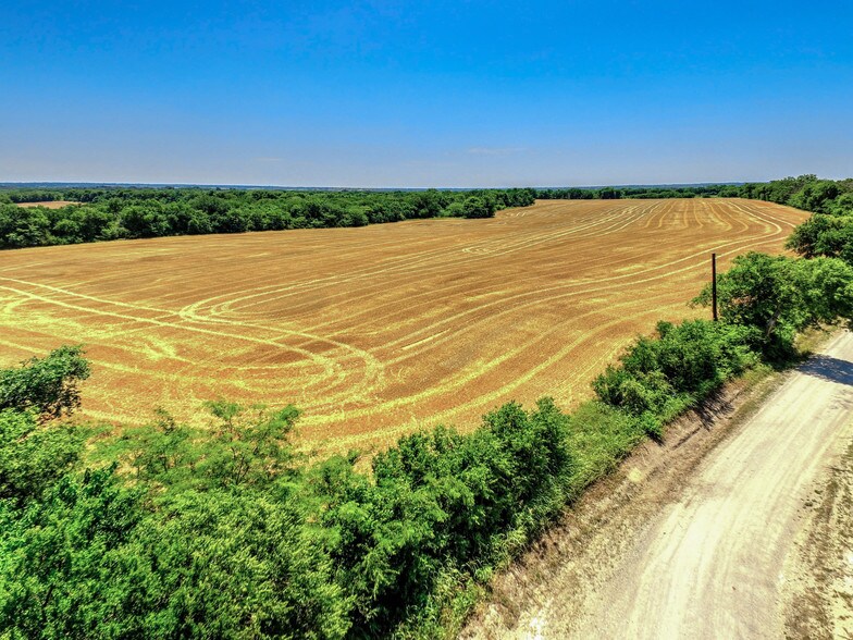 184 Acres E Leslie Ln, Sherman, TX for sale - Other - Image 1 of 1