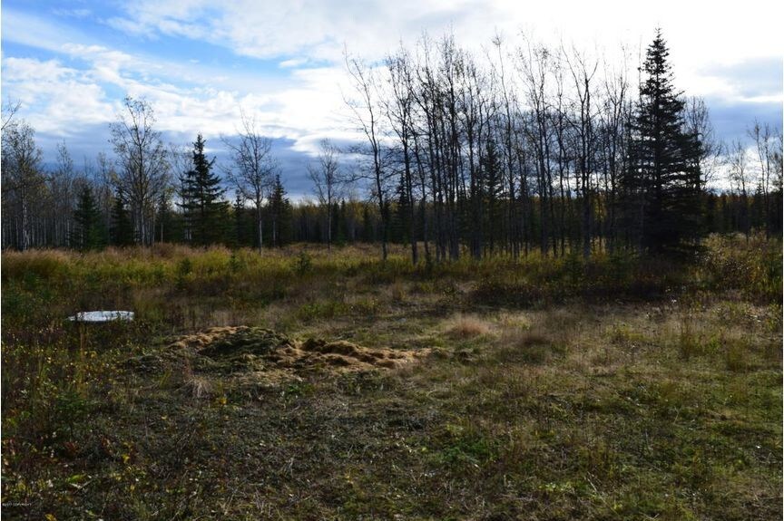 48785 Rustic Ave, Soldotna, AK for sale Primary Photo- Image 1 of 1