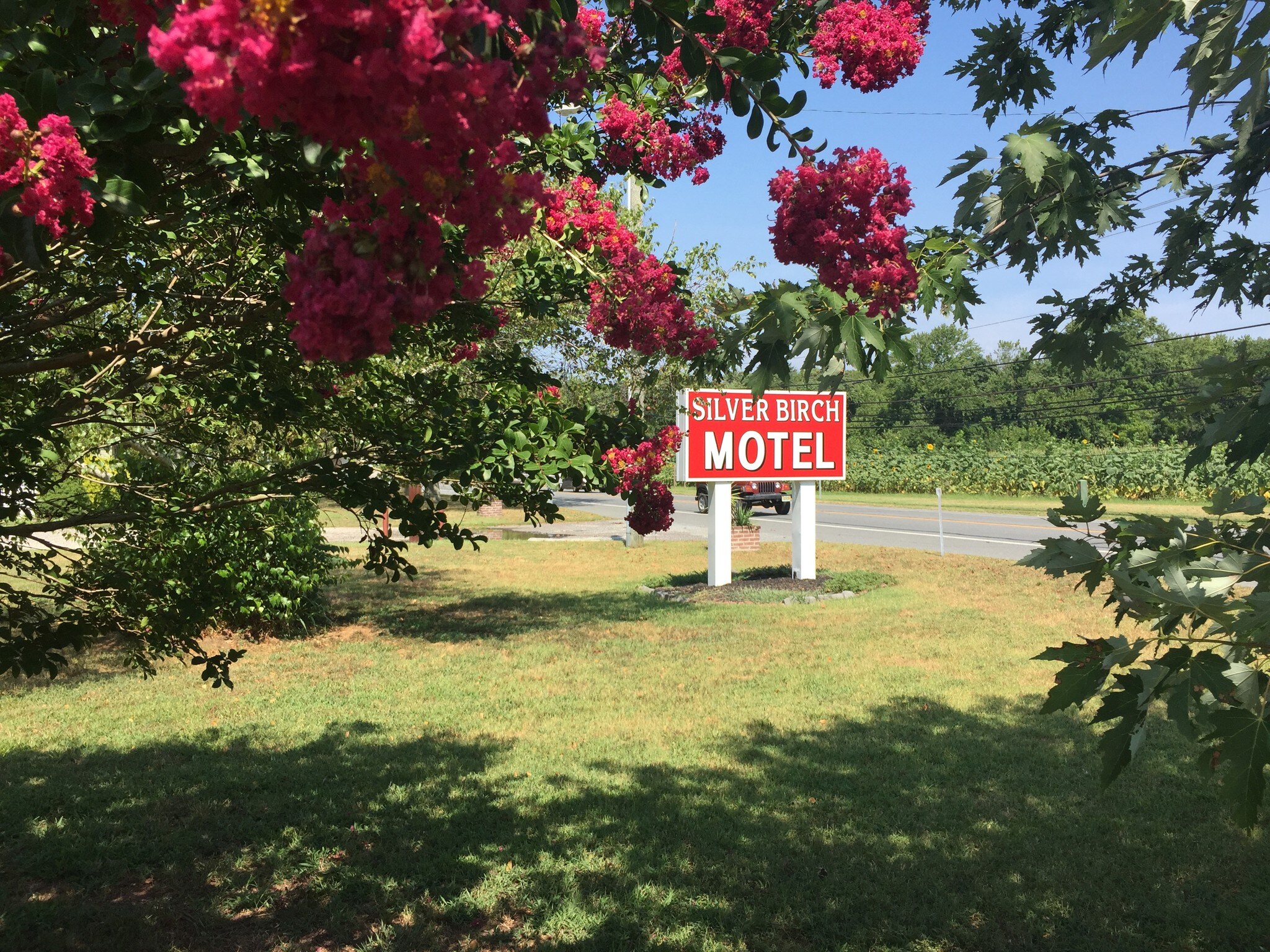 1019 Route 47 S, Rio Grande, NJ for sale Other- Image 1 of 1