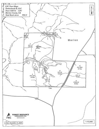 More details for Buffalo Rd, Buena Vista, GA - Land for Sale