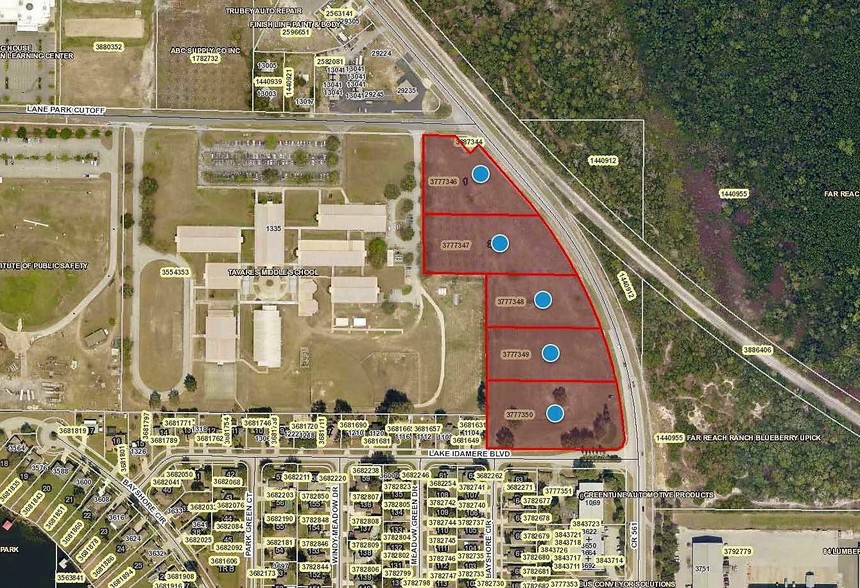 561 CR, Tavares, FL for sale - Primary Photo - Image 3 of 12