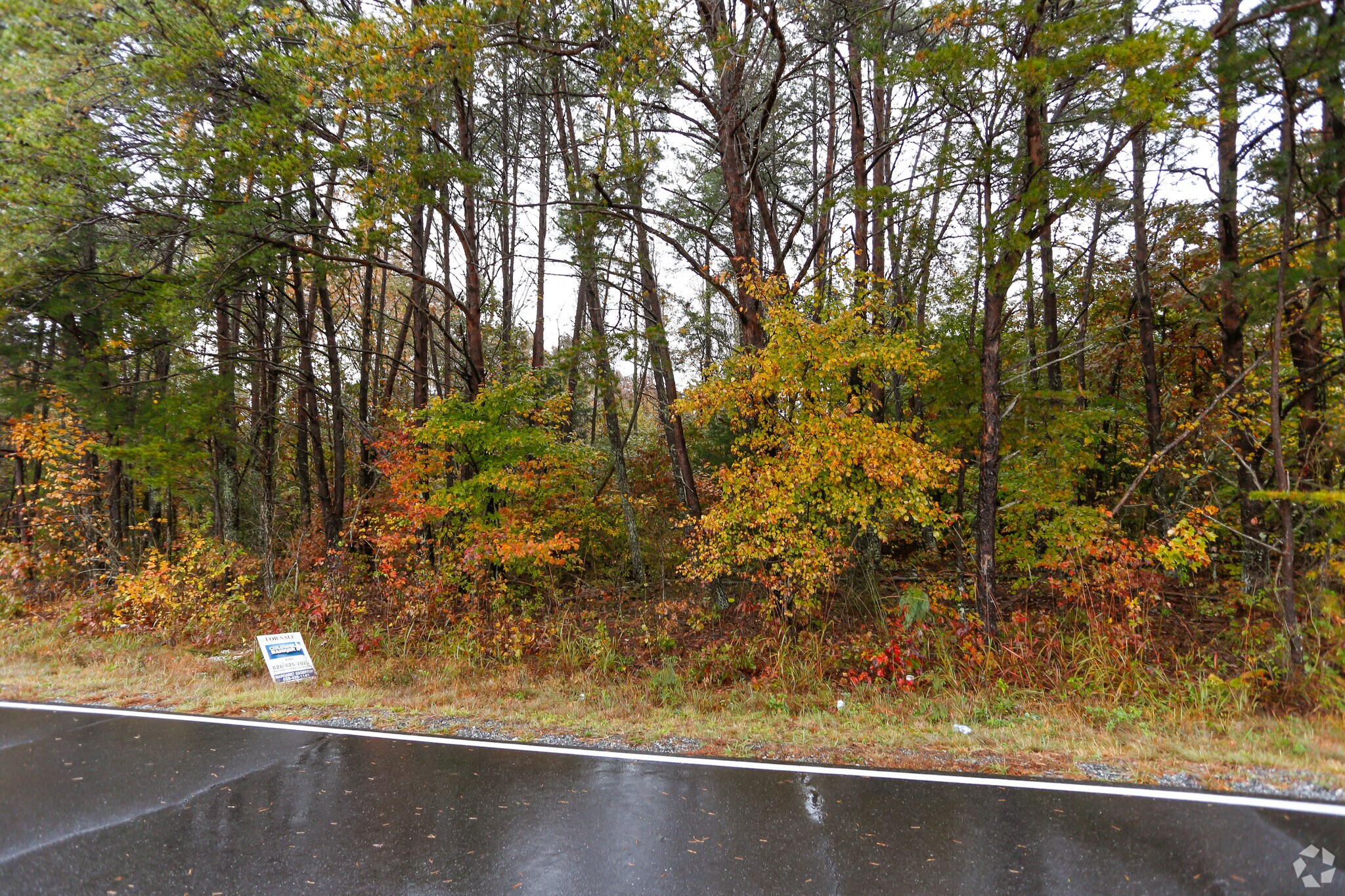 769 Broyhill Rd, Rutherfordton, NC for sale Primary Photo- Image 1 of 1