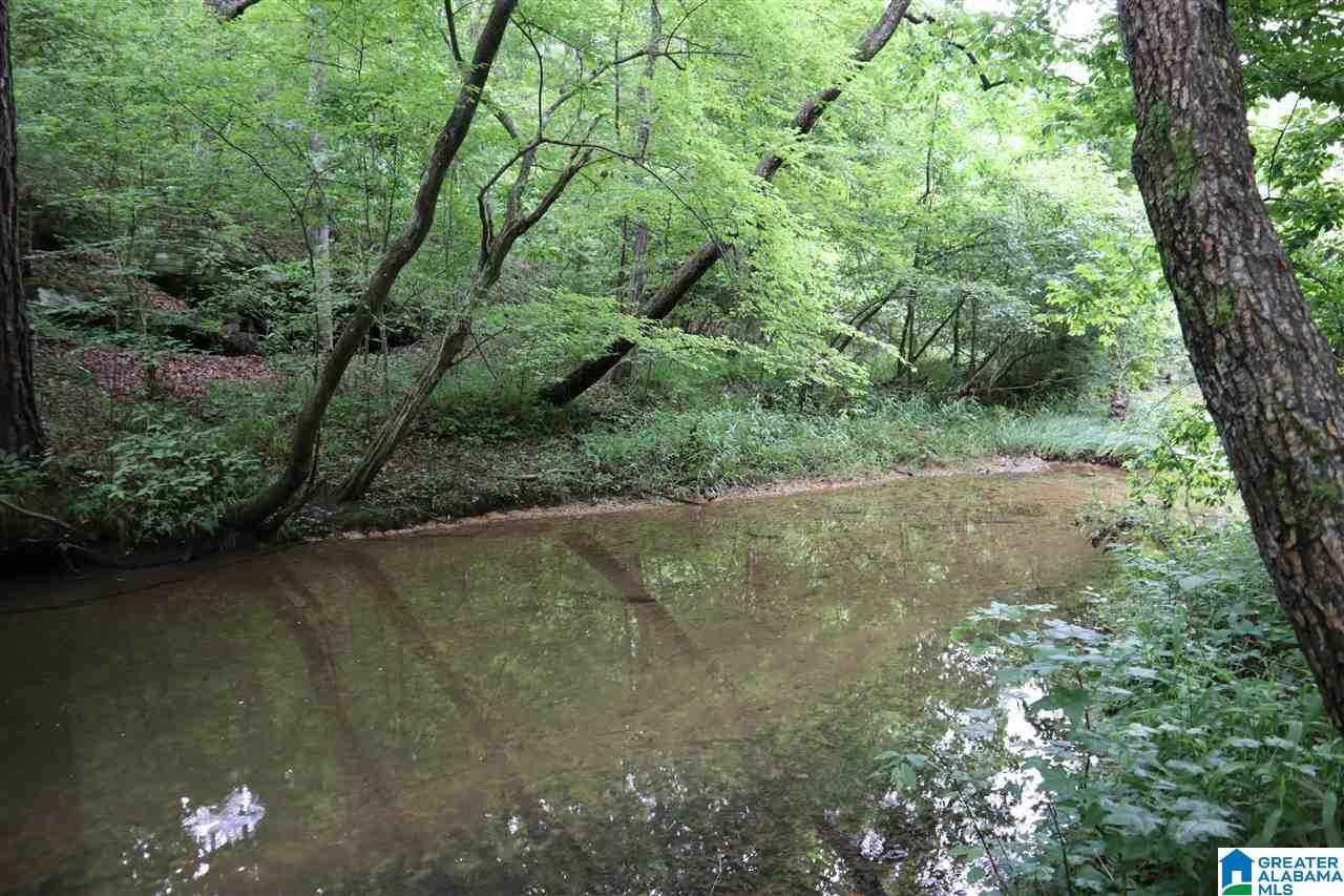 0 County Rd 61, Fruithurst, AL for sale Aerial- Image 1 of 1