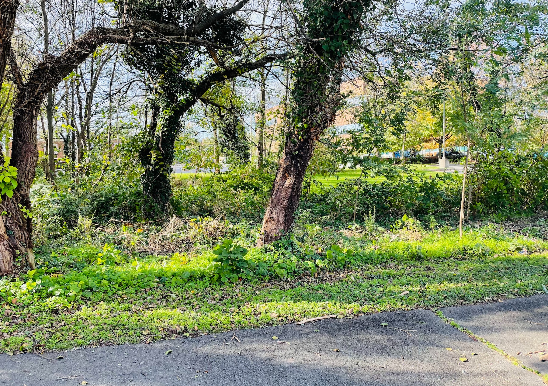 9512 Center St, Manassas, VA for sale Primary Photo- Image 1 of 1