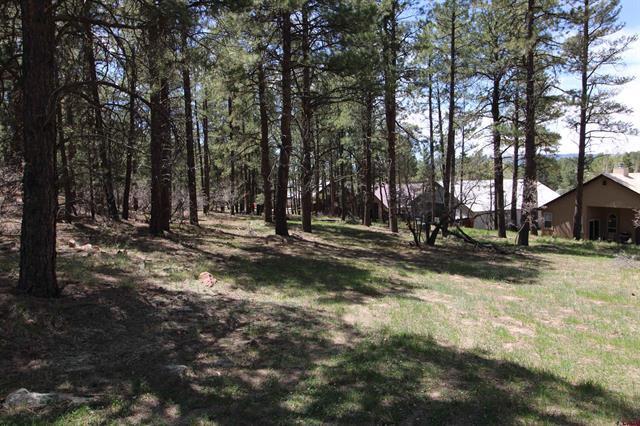 2090 County Road 600, Pagosa Springs, CO for sale - Primary Photo - Image 1 of 3