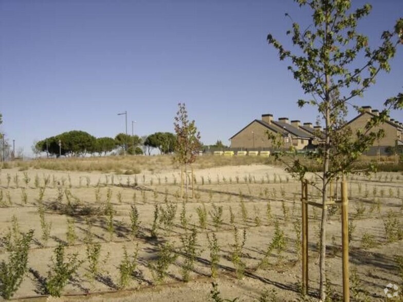 Land in Boadilla Del Monte, Madrid for lease - Building Photo - Image 3 of 4