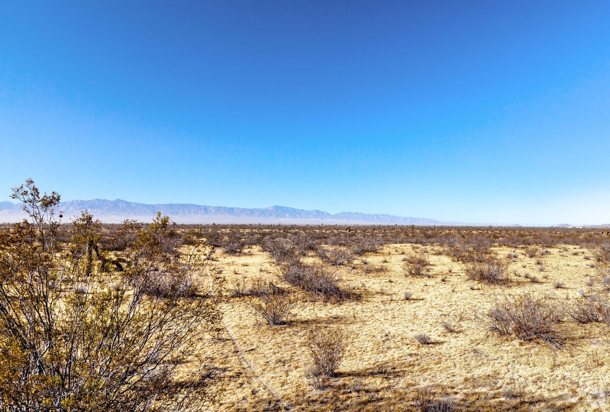 Adelanto Rd, Adelanto, CA for sale Primary Photo- Image 1 of 1
