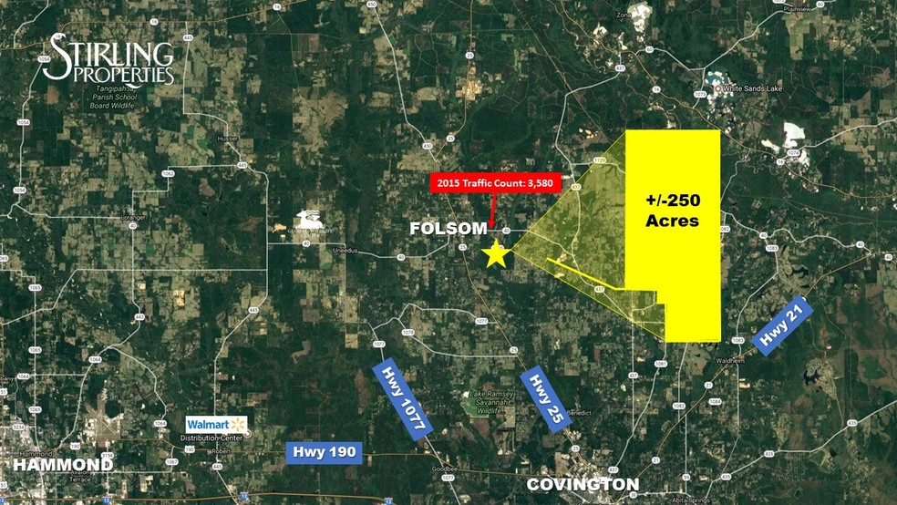 Factory Rd, Folsom, LA for sale - Other - Image 3 of 8