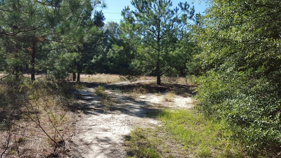 0 Silver Bluff Rd, Aiken, SC for sale - Building Photo - Image 2 of 5