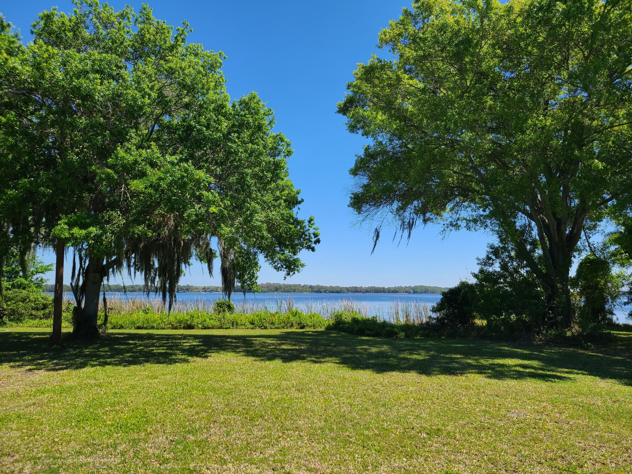 37707 US Highway 19 N, Palm Harbor, FL for sale Building Photo- Image 1 of 1