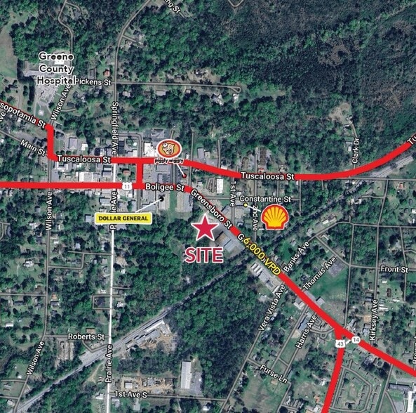 206 Greensboro St, Eutaw, AL for lease - Building Photo - Image 2 of 2