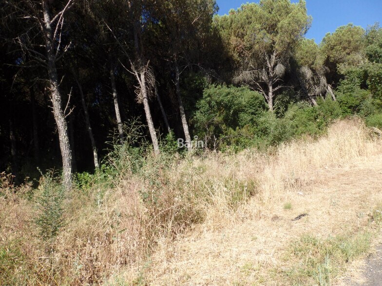 Land in Córdoba for sale - Building Photo - Image 2 of 7
