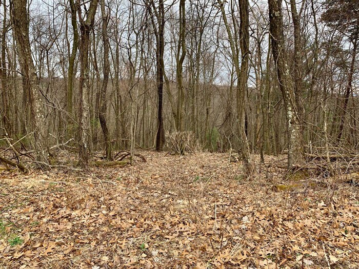 Muncy Exchange Rd, Muncy, PA 17756