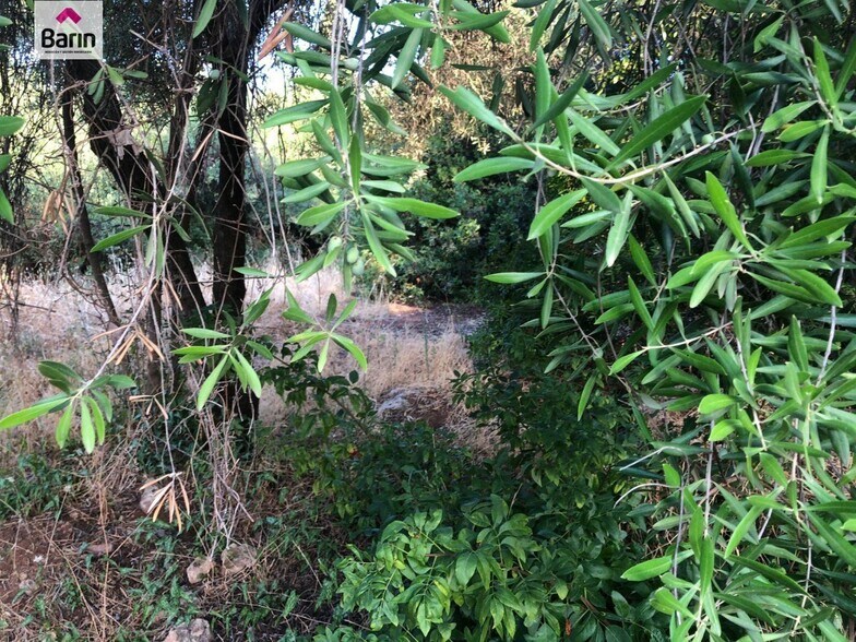 Land in Córdoba for sale - Building Photo - Image 3 of 5