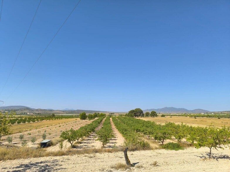 Land in MONÒVER for sale - Building Photo - Image 1 of 6