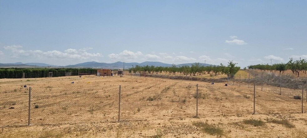 Land in Yecla for sale - Building Photo - Image 3 of 7