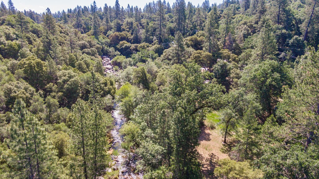 14475 Emigrant Trl, River Pines, CA 95675