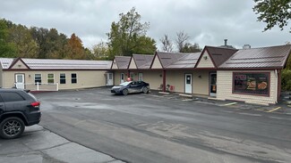 More details for 1212 E M-36, Pinckney, MI - Retail for Sale