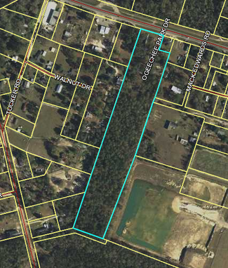 More details for 0 Hwy 80, Ellabell, GA - Land for Sale