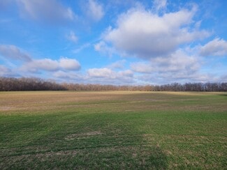 More details for Bales Rd. (81.80+/- Acres), Middletown, MO - Land for Sale