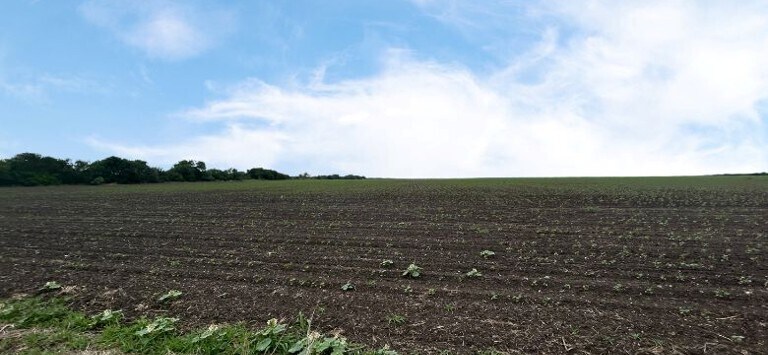 CR 48, 54.166 AC, Robstown, TX for sale - Building Photo - Image 2 of 4