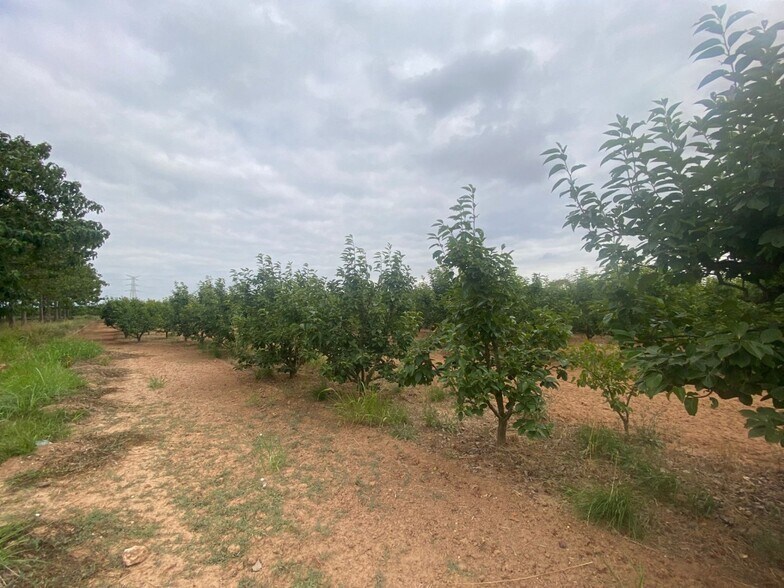 Land in València for sale - Building Photo - Image 2 of 10