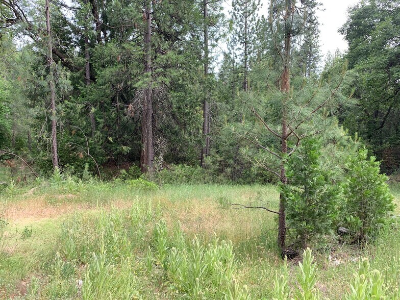 9432 Grizzly Flat Rd, Grizzly Flats, CA for sale - Primary Photo - Image 1 of 1