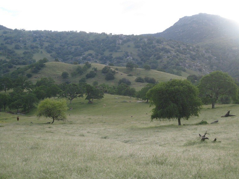 37096 Yokohl Dr, Exeter, CA for sale Other- Image 1 of 13