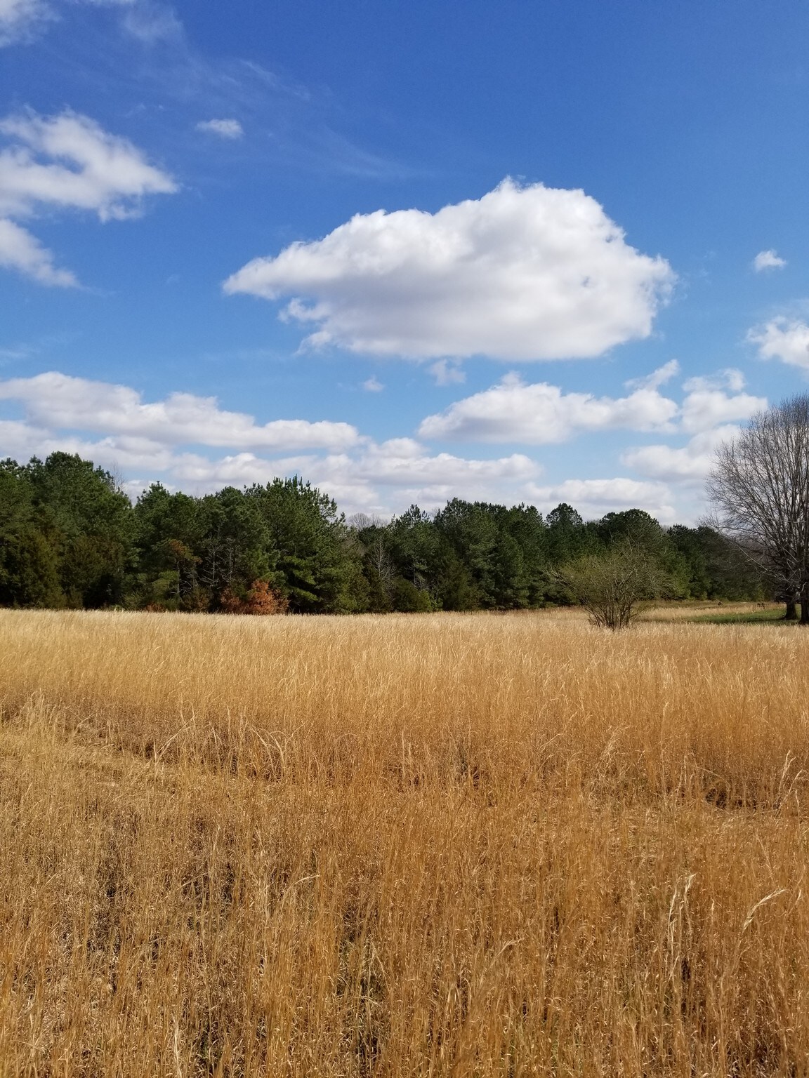 168 Hunter Rd, Woodruff, SC for sale Other- Image 1 of 1