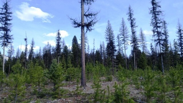 View Photo