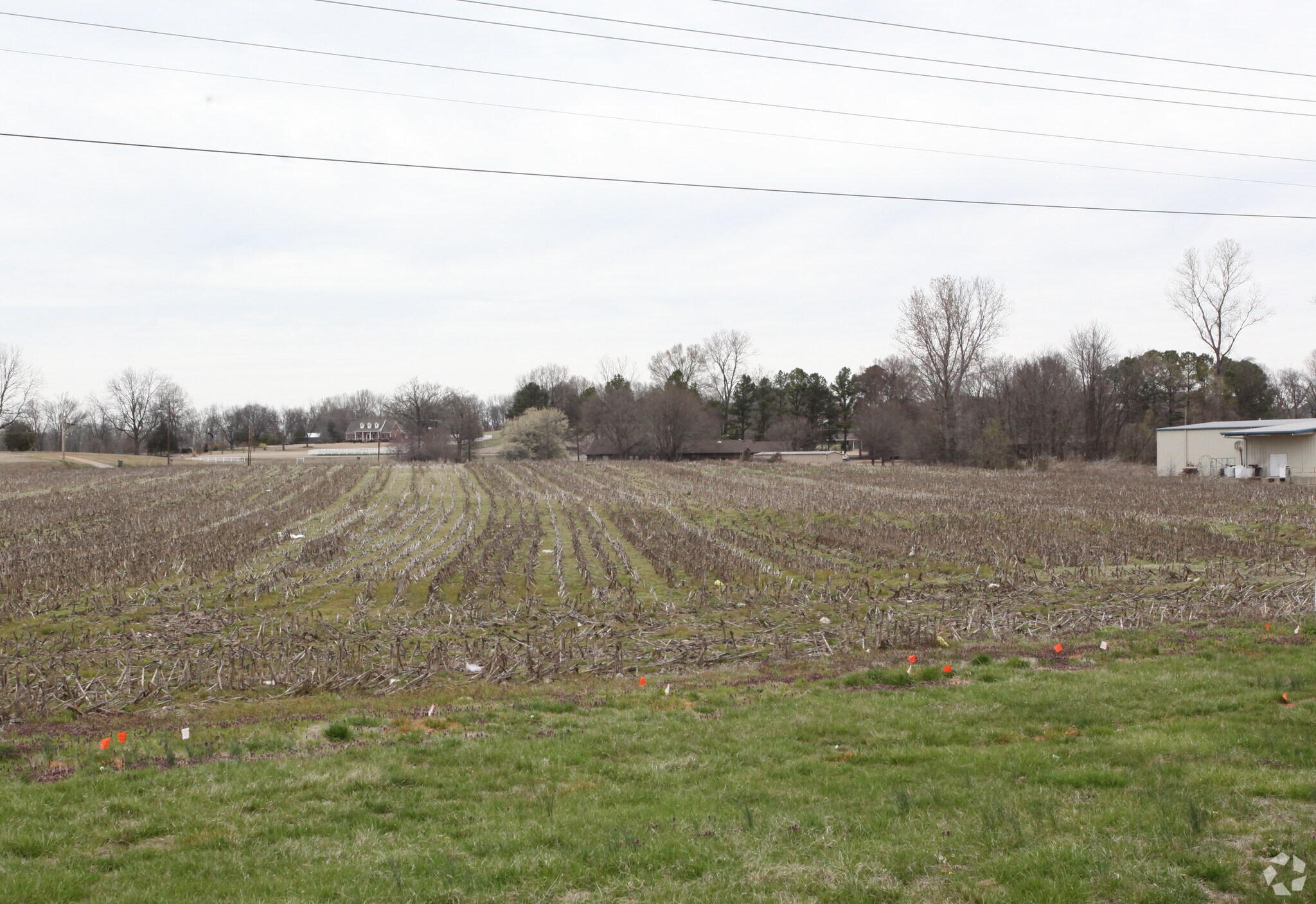 945 Us51 Hwy N, Ripley, TN 38063