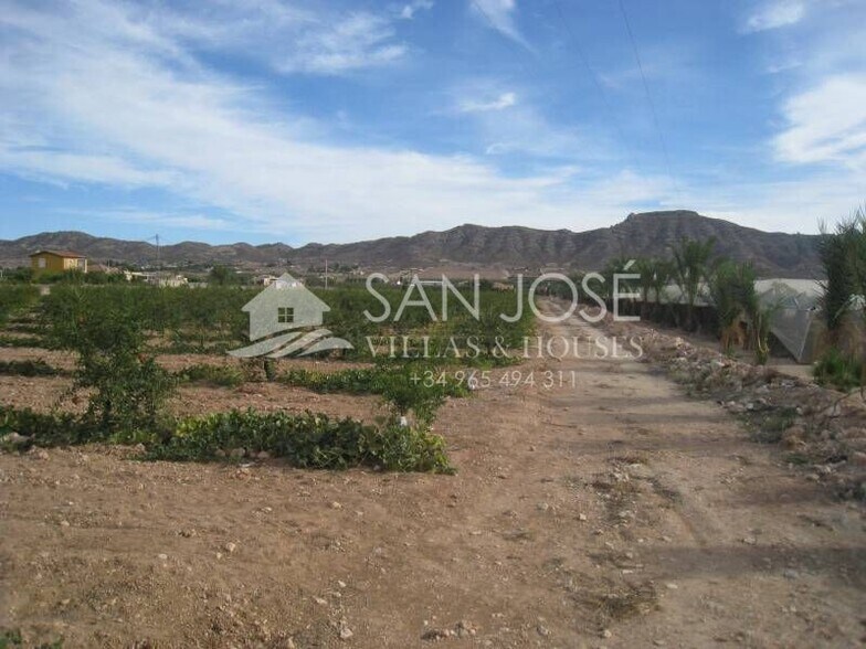Land in Aspe for sale - Building Photo - Image 2 of 3