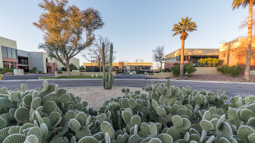 7585-7595 E Redfield Rd, Scottsdale, AZ for lease - Building Photo - Image 2 of 12