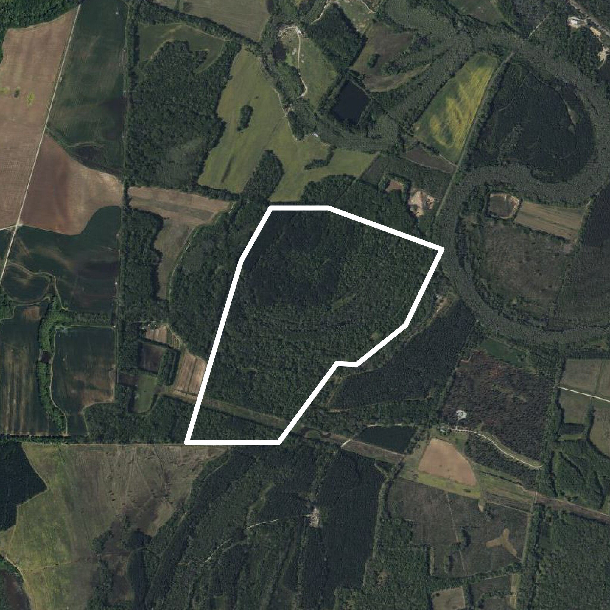 2030 Longwood rd, Columbia, SC for sale Primary Photo- Image 1 of 8