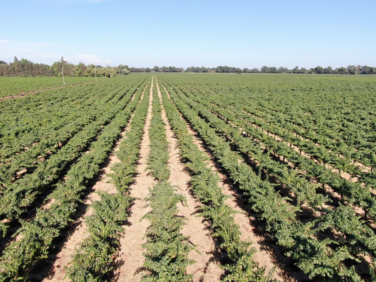 22150 Davis rd, Lodi, CA 95242