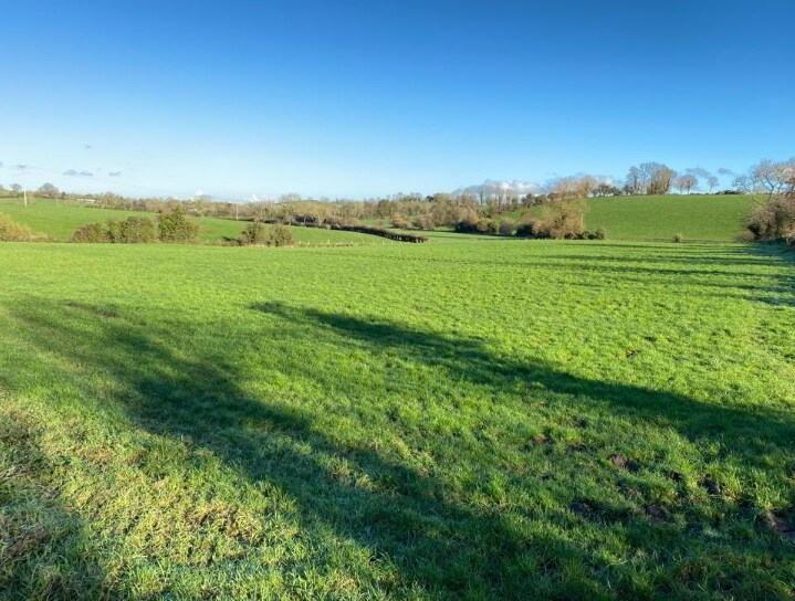Baltarran Rd, Armagh, BT60 4DS Agricultural Land At