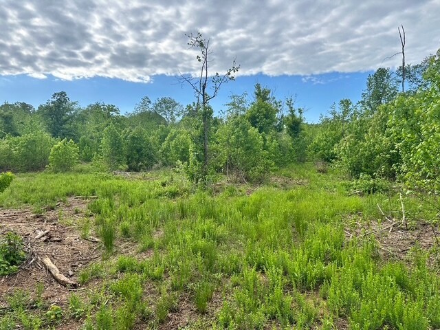 Satcher Road #4 Rd, Taylorsville, GA for sale Building Photo- Image 1 of 1