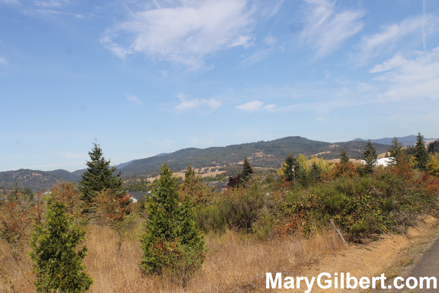 0 Fort McKay Rd, Sutherlin, OR for sale - Primary Photo - Image 1 of 1