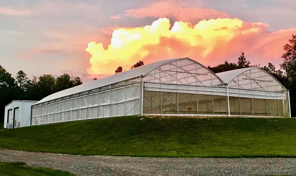 37435 Phelps Rd, Zephyrhills, FL 33541