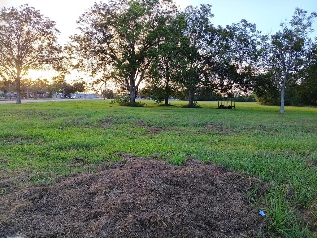 1040 S Anderson St, Angleton, TX for sale Primary Photo- Image 1 of 1