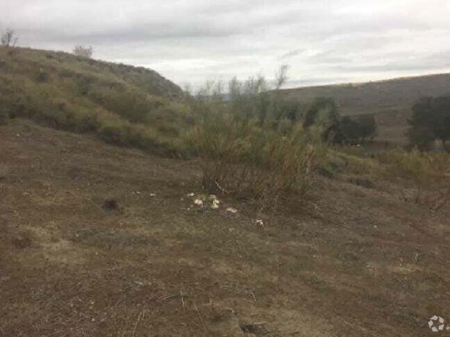 Land in Illana, Guadalajara for sale Primary Photo- Image 1 of 3